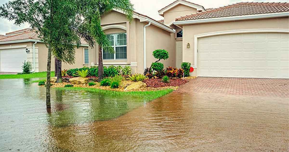 solutions for a flooded driveway