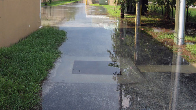 Immediate Steps for Dealing with a Flooded Driveway